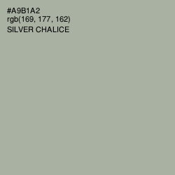 #A9B1A2 - Silver Chalice Color Image